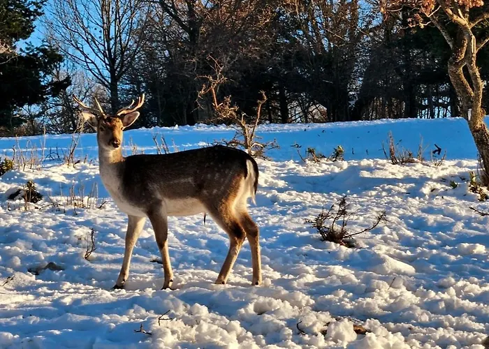 Appartamento La Grange D'anthounin Redortiers